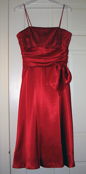 modest 2011 prom dresses